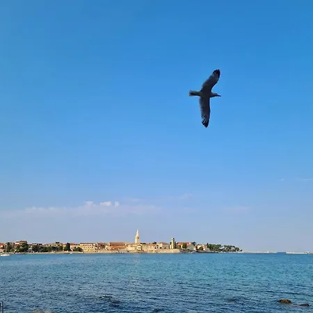 Old Town Parenso * Porec